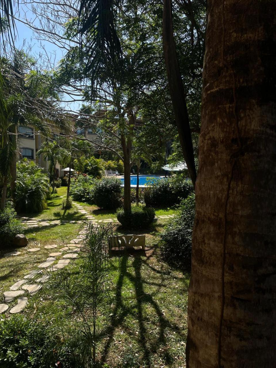 The Oaks Tamarindo Pool Front Condominiums Fast Wifi מראה חיצוני תמונה